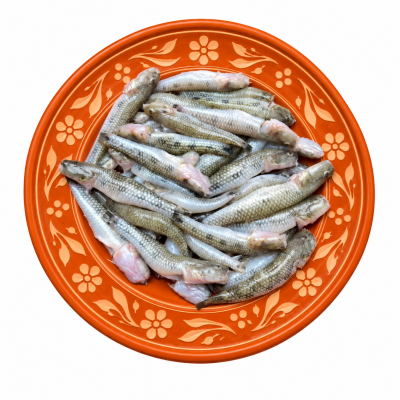 বেলে মাছ